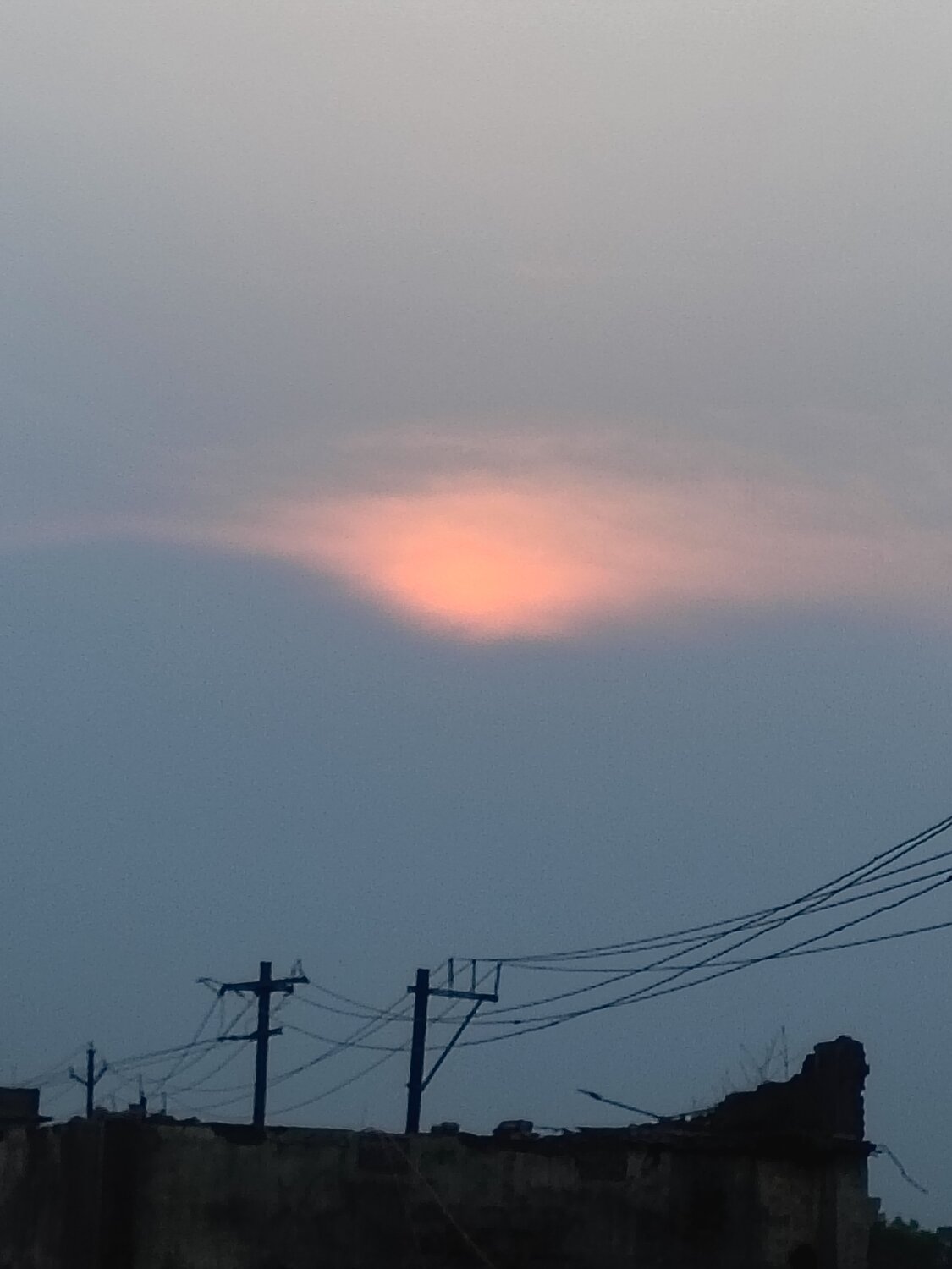 Photo #13786249
