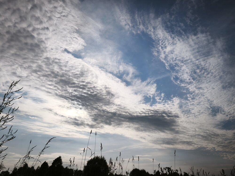 Photograph by Татьяна Алексеева