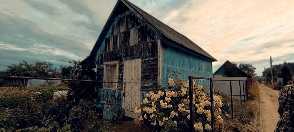Photo #13786298