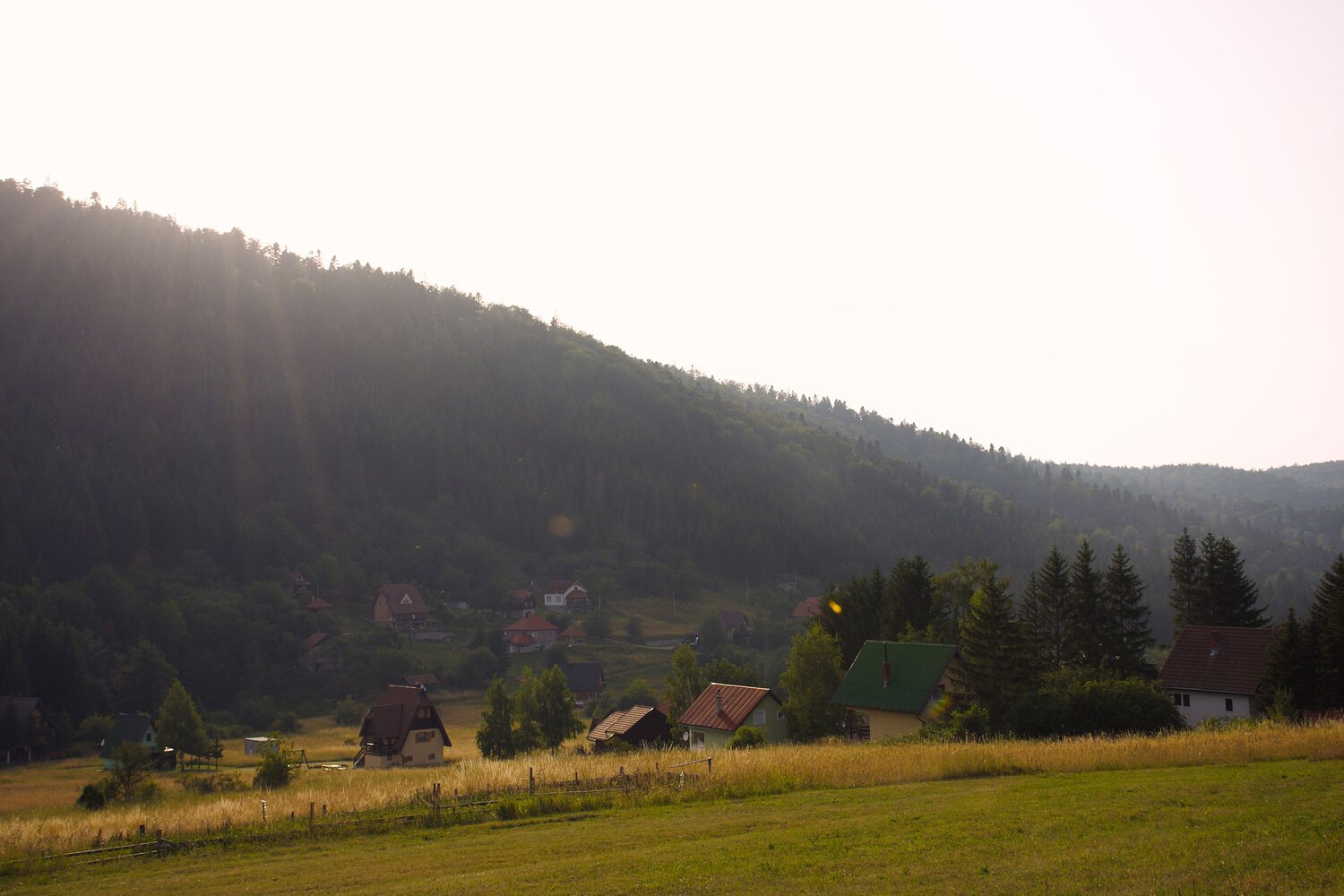 Photo #13786325