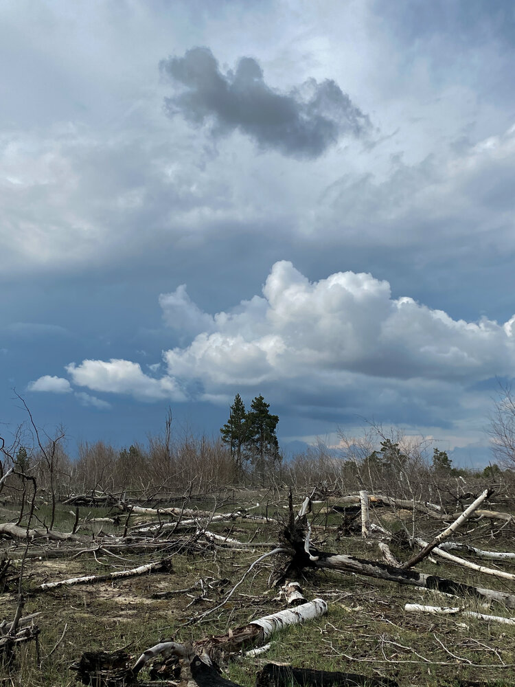 Photograph by Оксана Михайлова