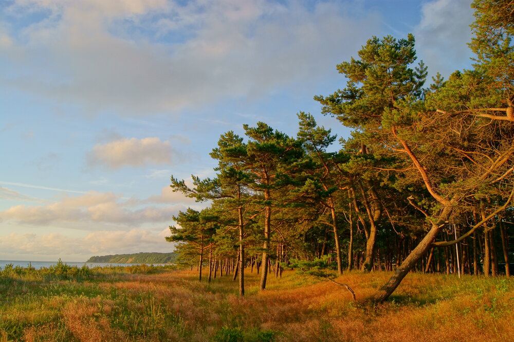 Photograph by Sergej Roor