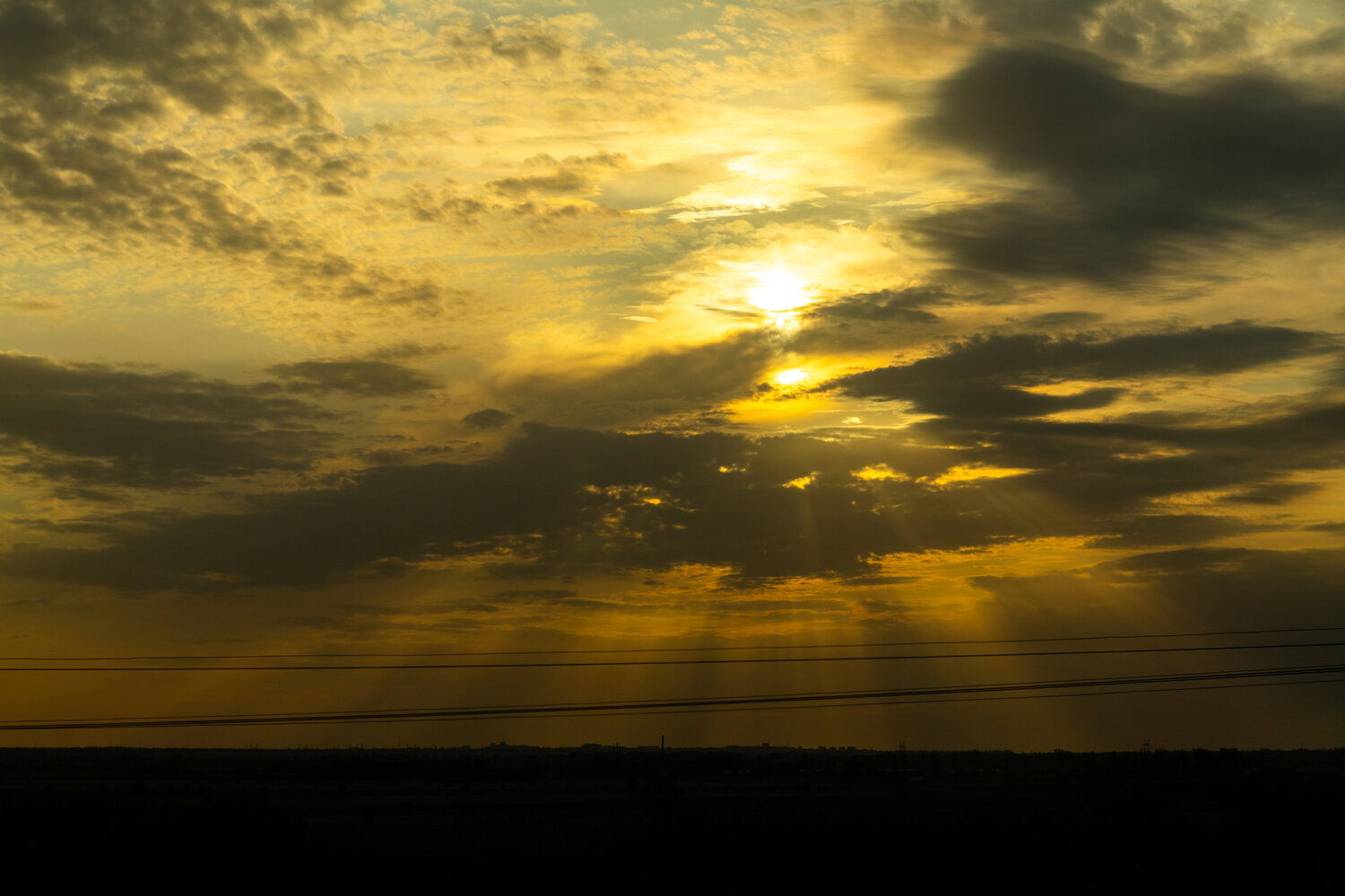 Photo #13786441