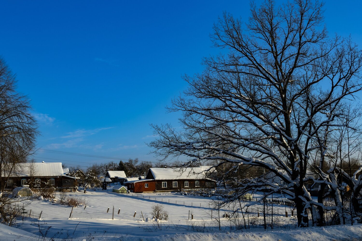 Photo #13786490