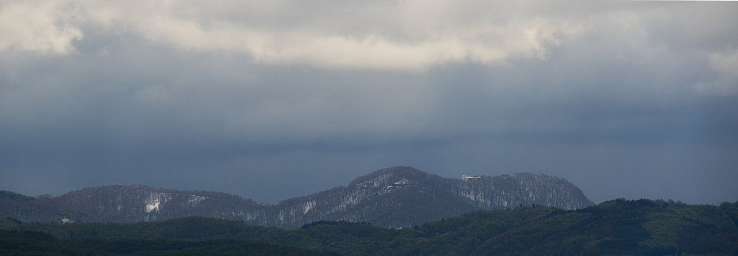 Photo #13786523