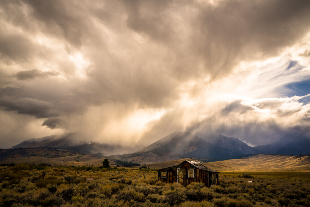 Photograph by Eugene Resh