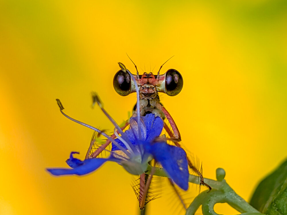 Photograph by Ishtiyak Shadab