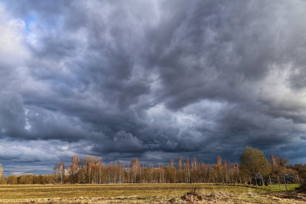 Photograph by Оксана Короткая