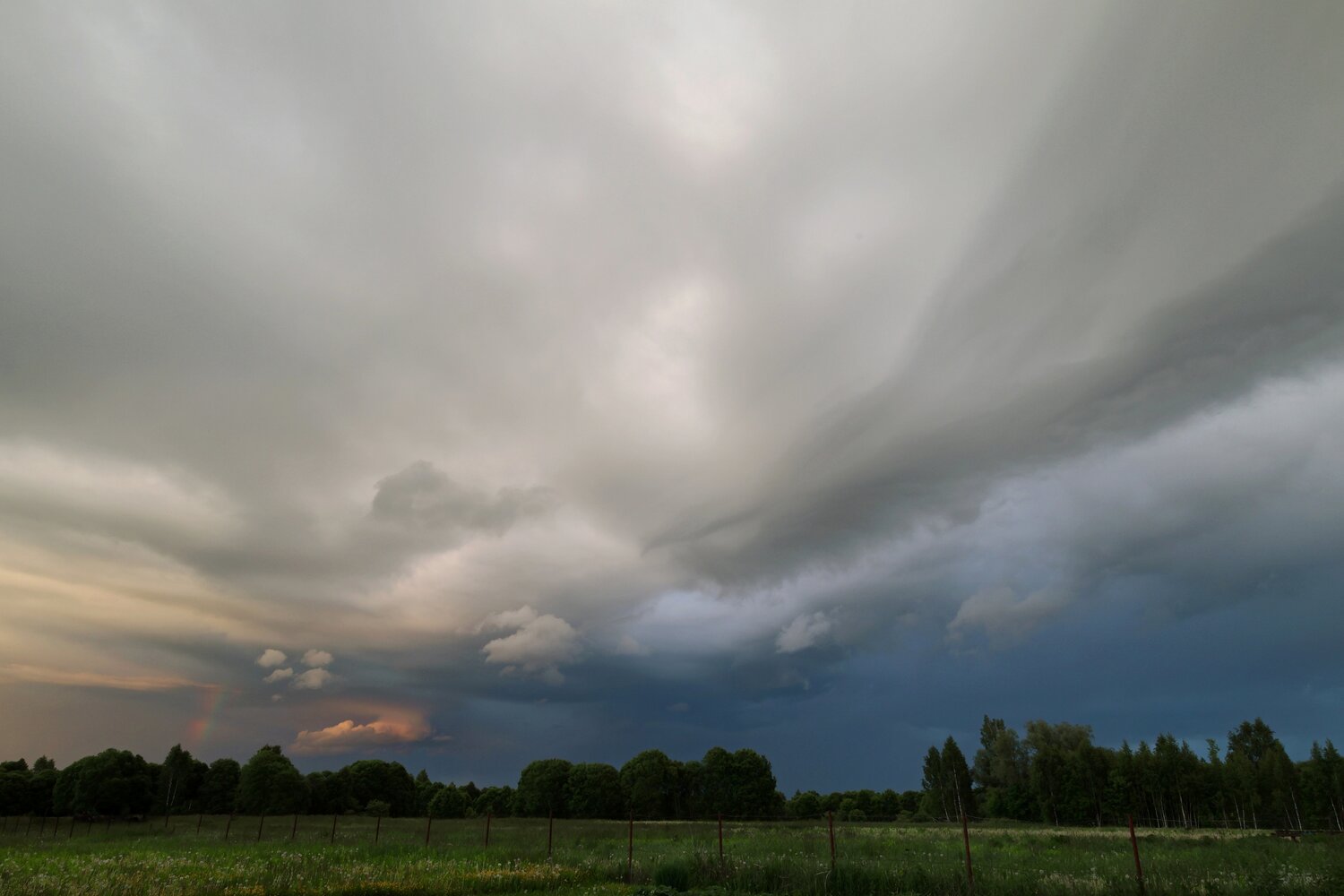 Photo #13786604