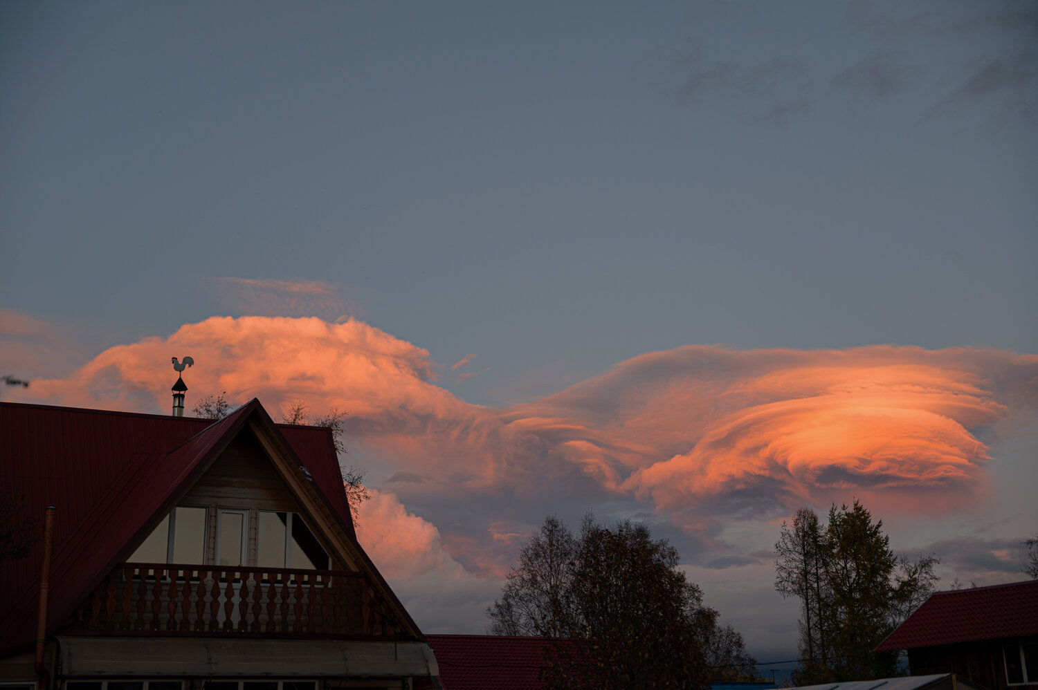 Photo #13786611