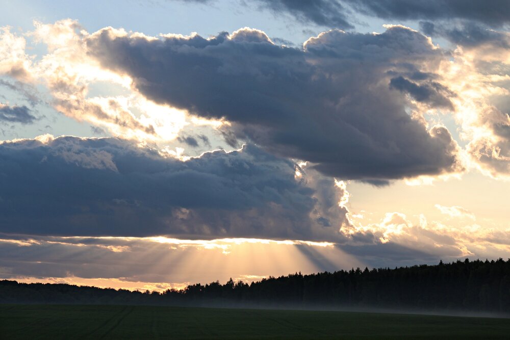 Photograph by Оксана Короткая