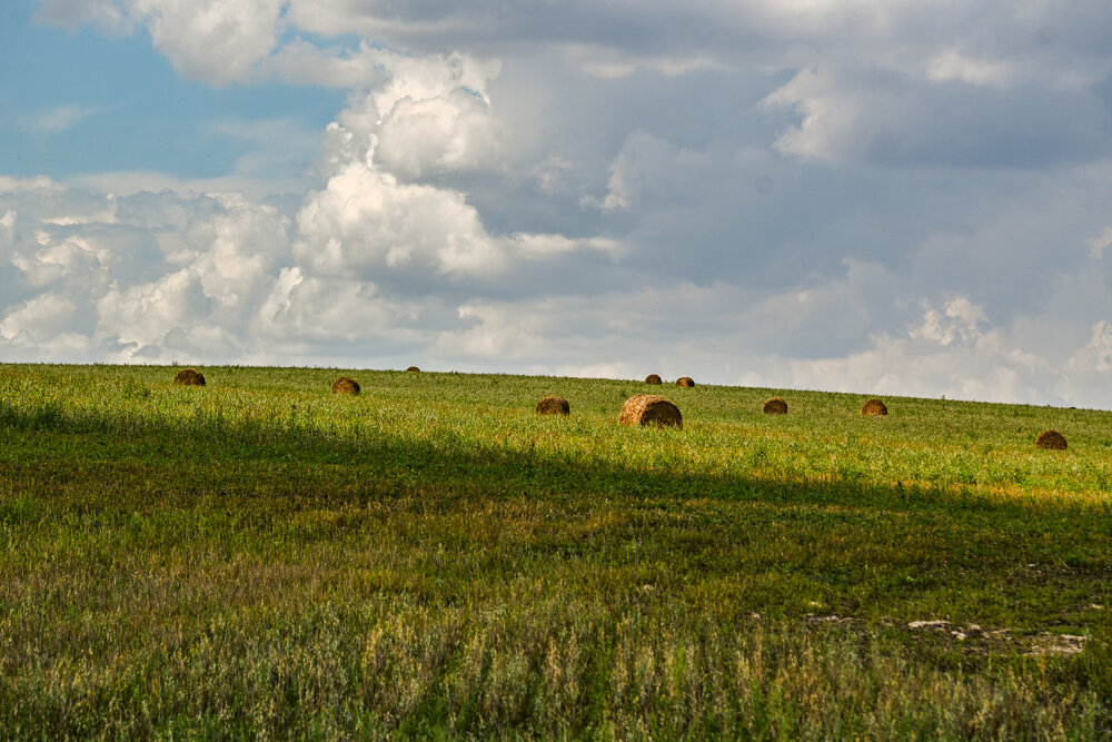 Photograph by Tim Wing