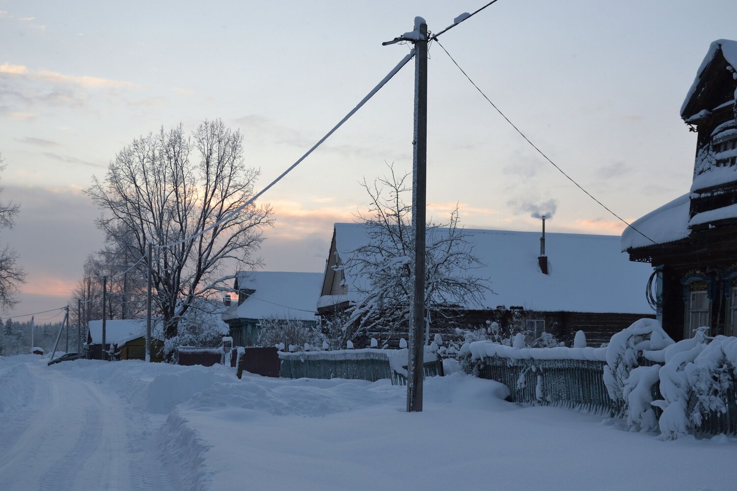 Photo #13786618