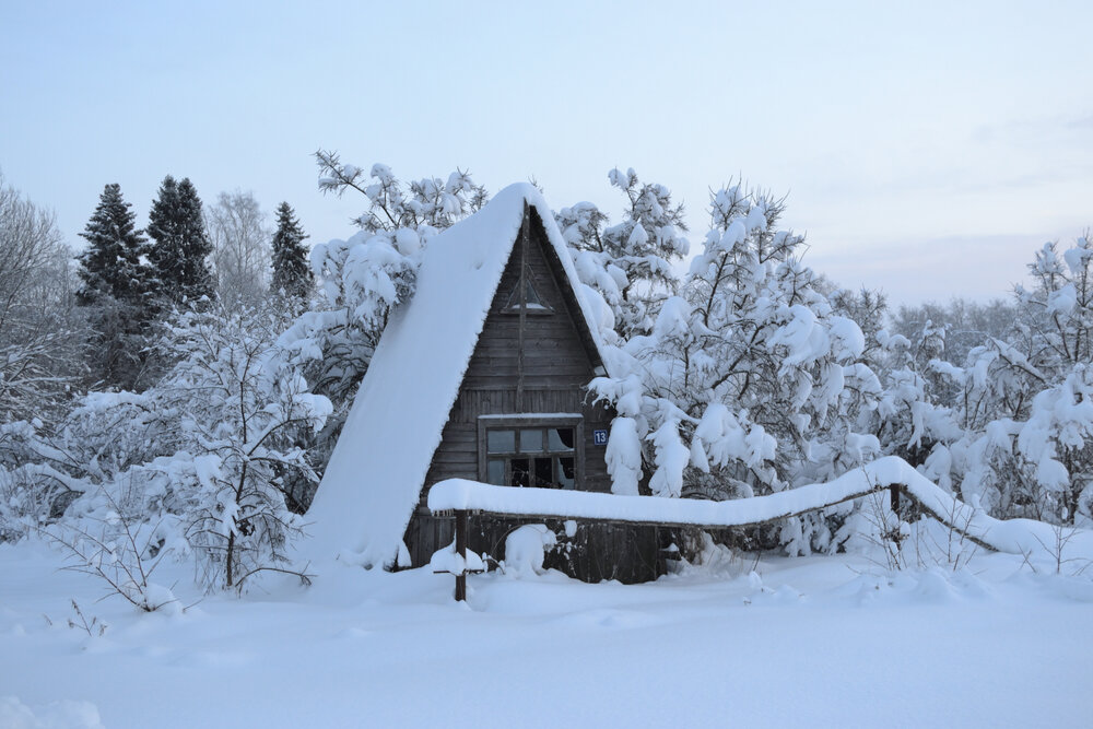 Photo #13786620