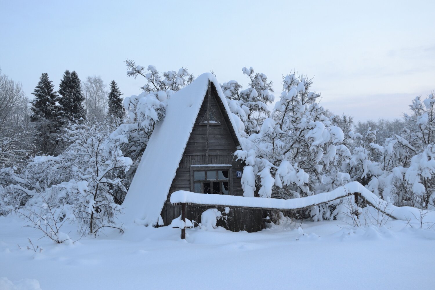 Photo #13786620