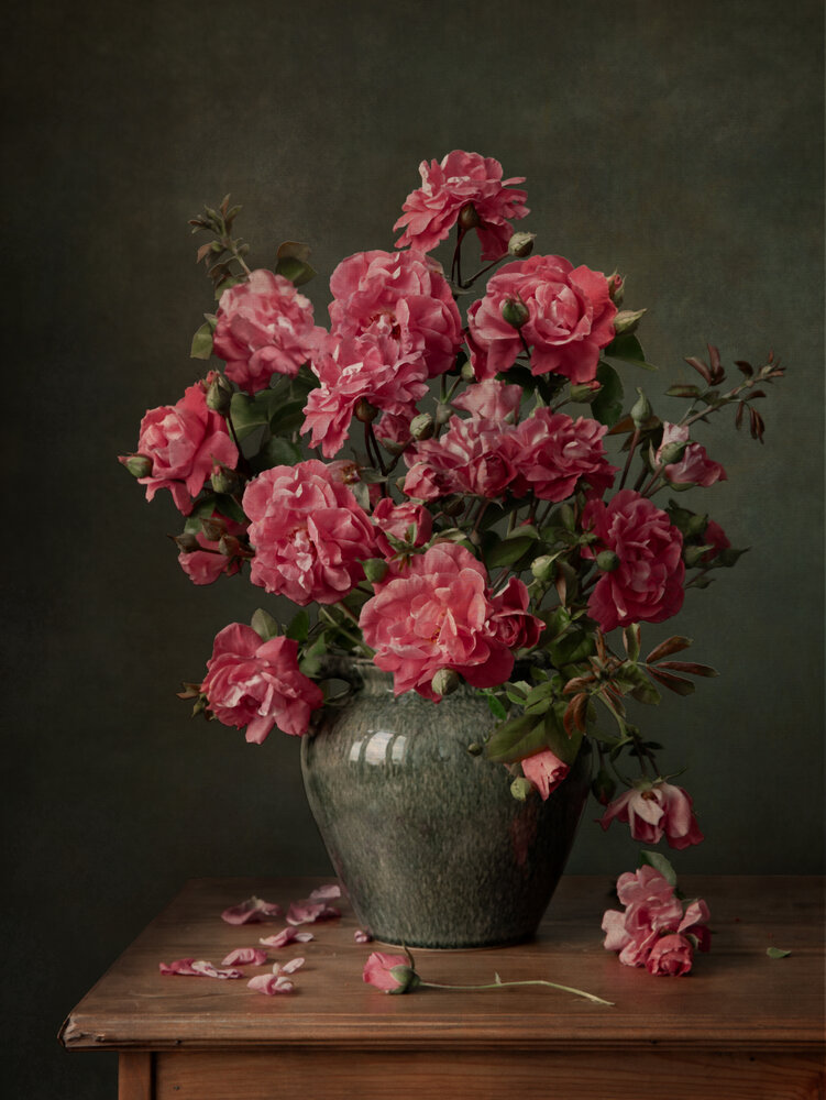 Photograph by Dina Ginevich
