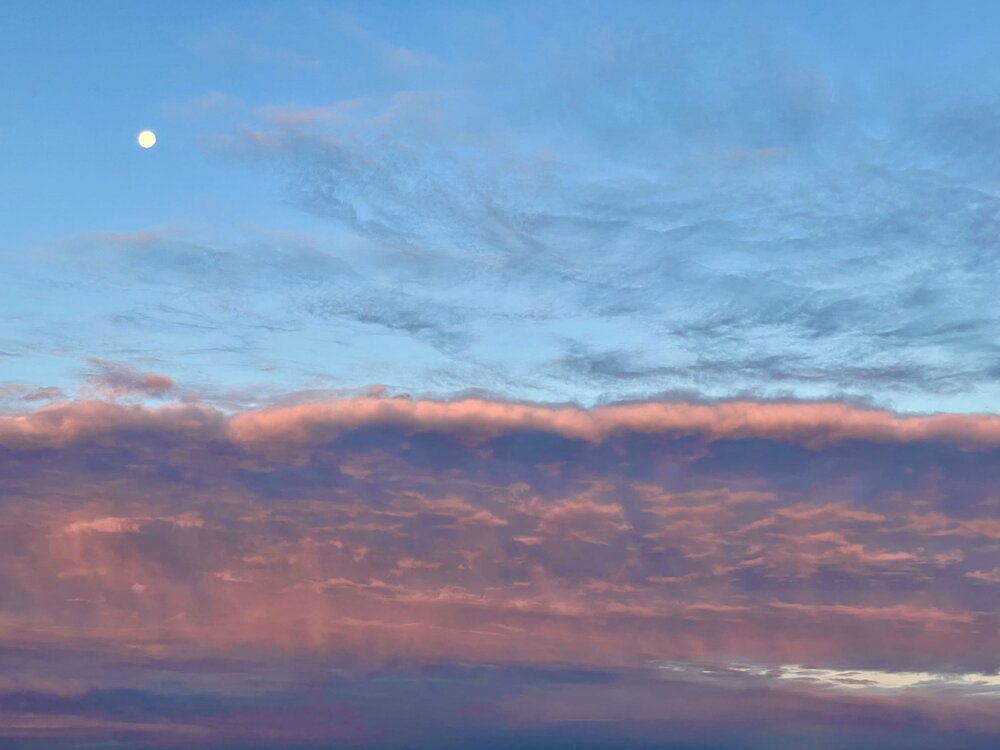 Photograph by Шарова Ольга
