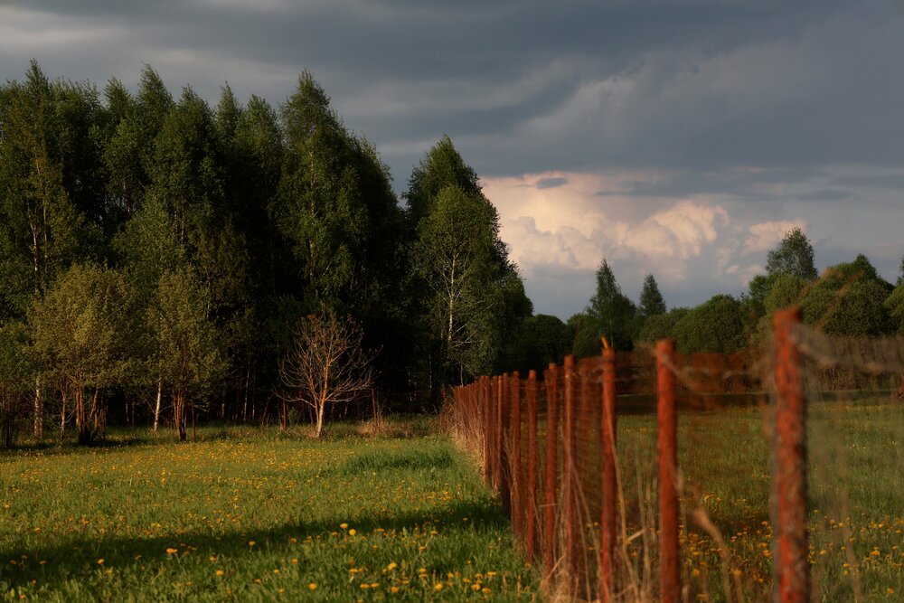 Photograph by Оксана Короткая