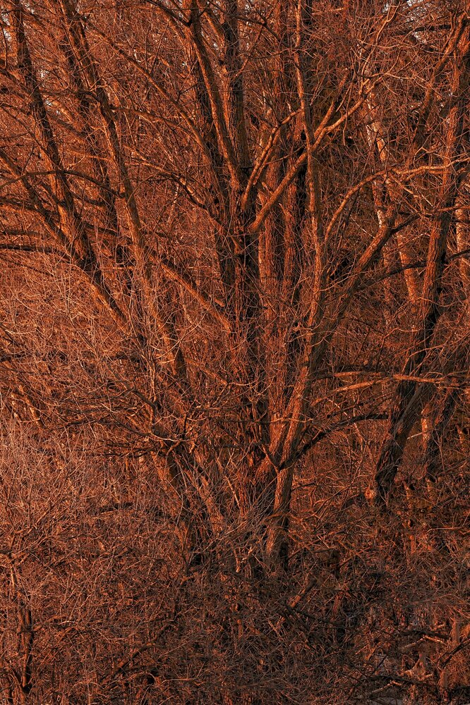 Photograph by Оксана Короткая