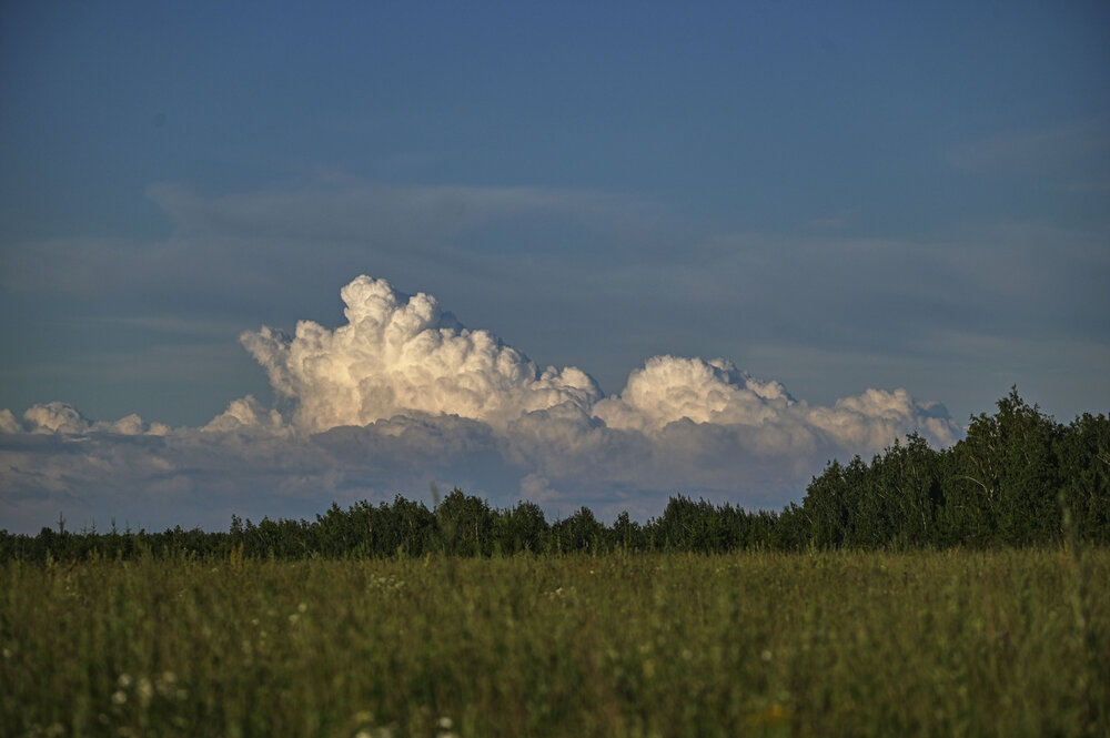 Photograph by Алексей Логинов