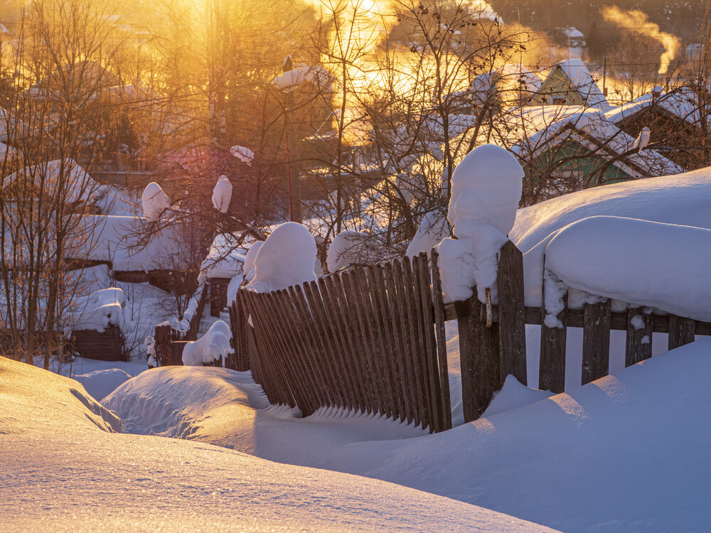 Photo #13786733