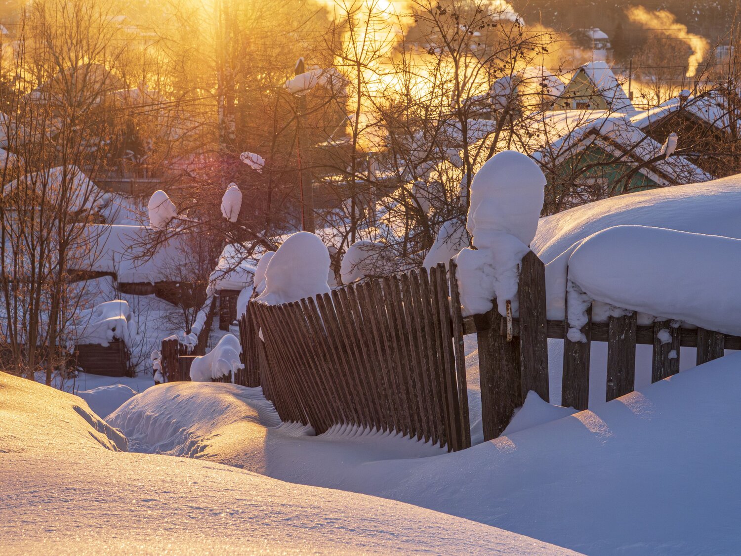 Photo #13786733