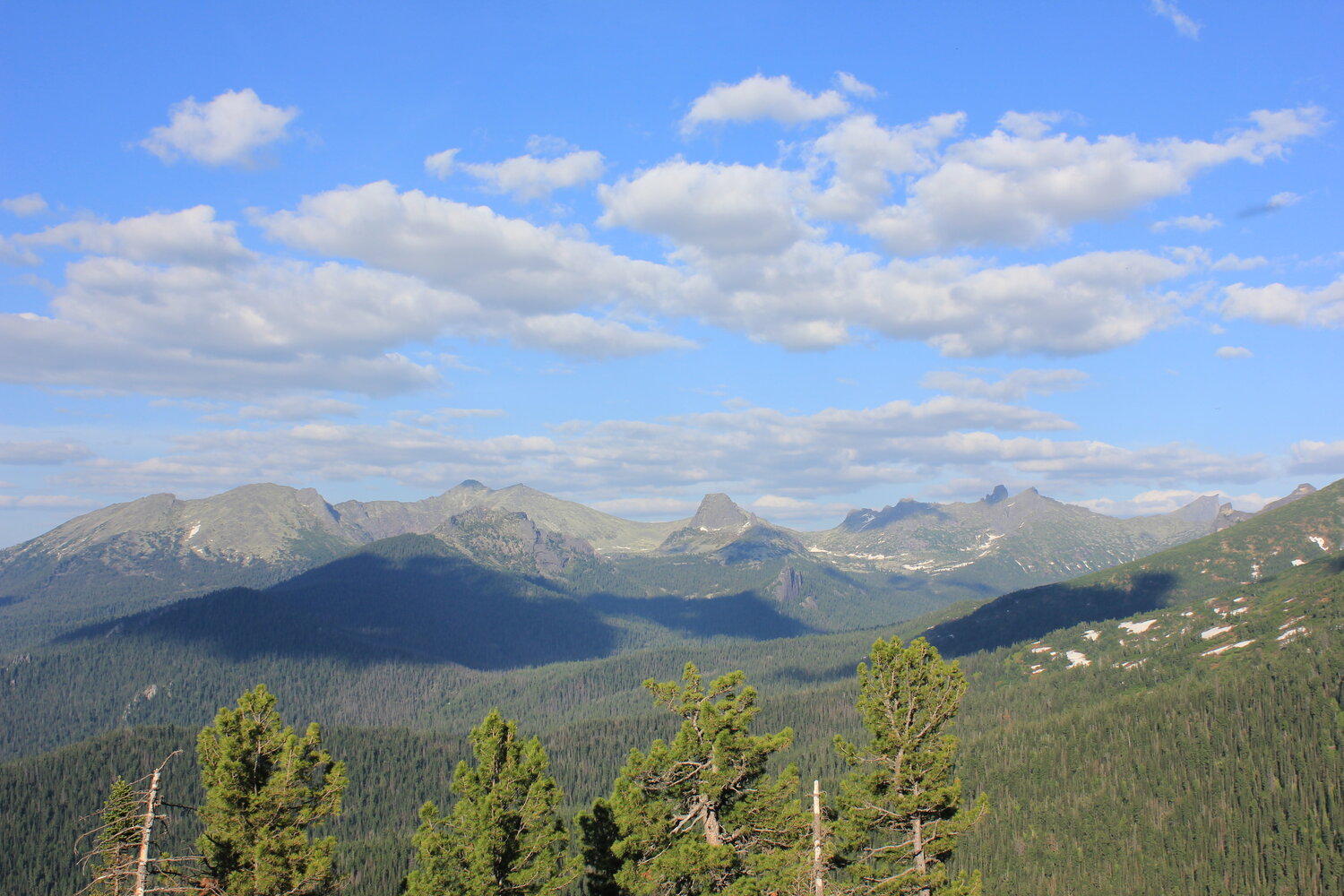 Photo #13786766