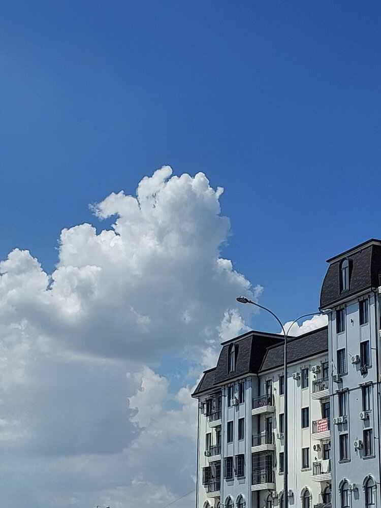 Photograph by Эмма Рахматуллина