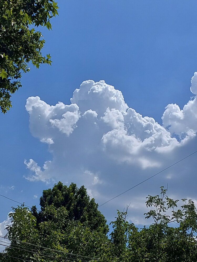 Photograph by Эмма Рахматуллина