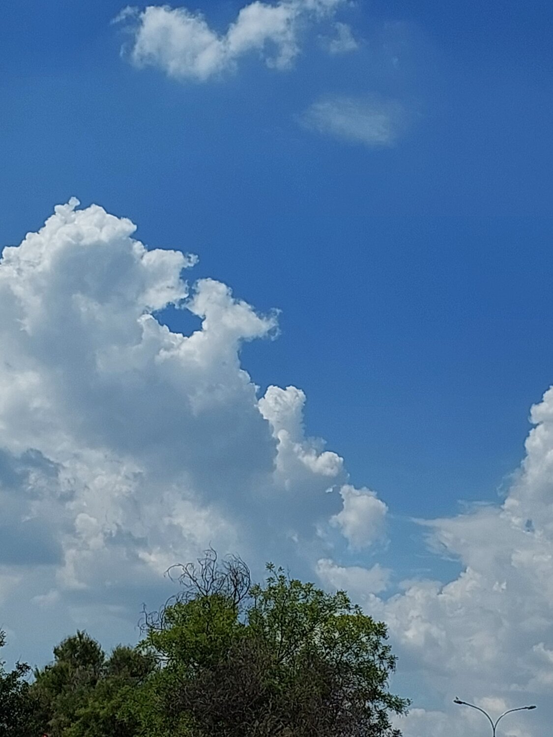 Photo #13786784