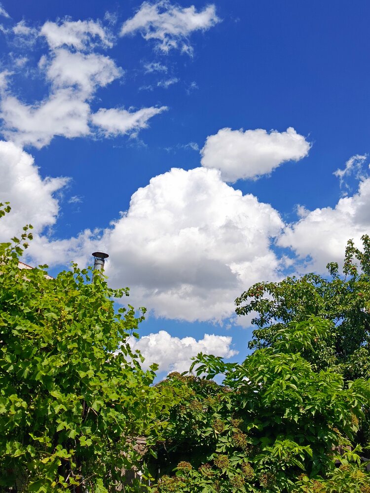Photograph by Татьяна Пальчикова