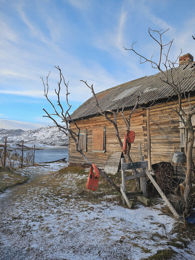 Photograph by Ольга Ченцова