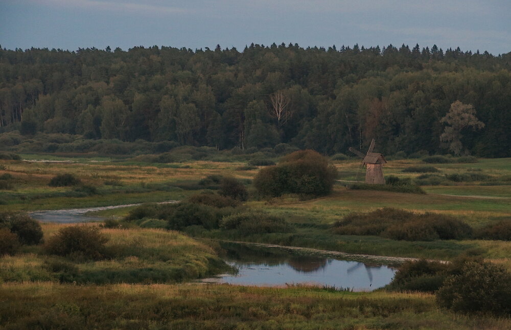 Photo #13786875