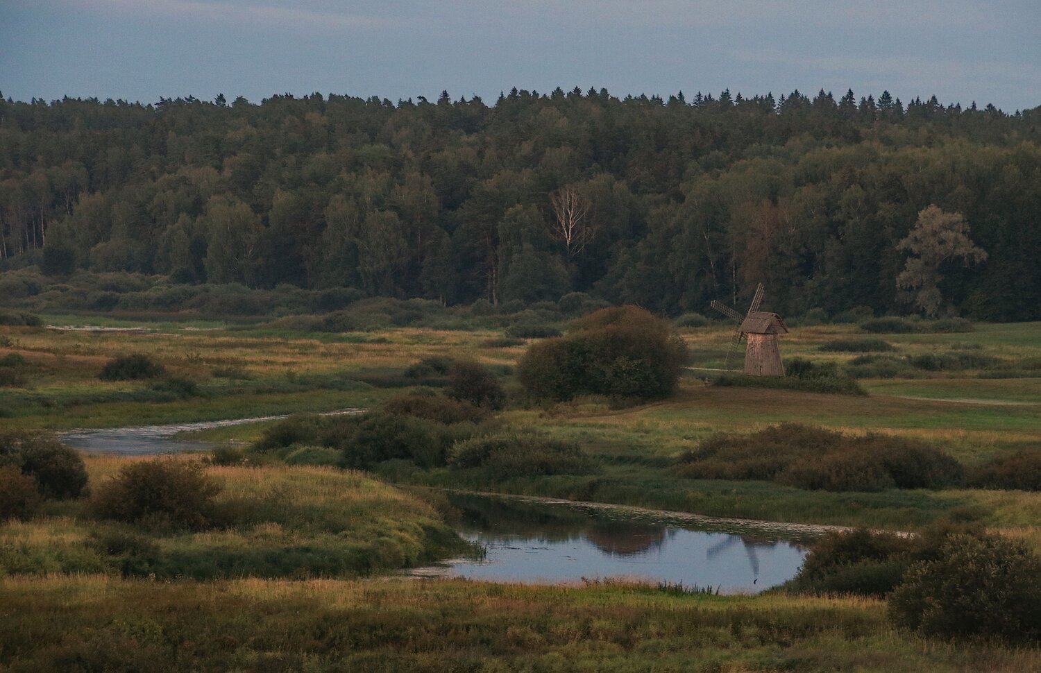 Photo #13786875