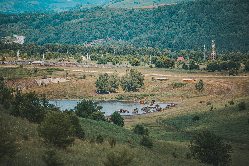 Photograph by Тимур Зенин