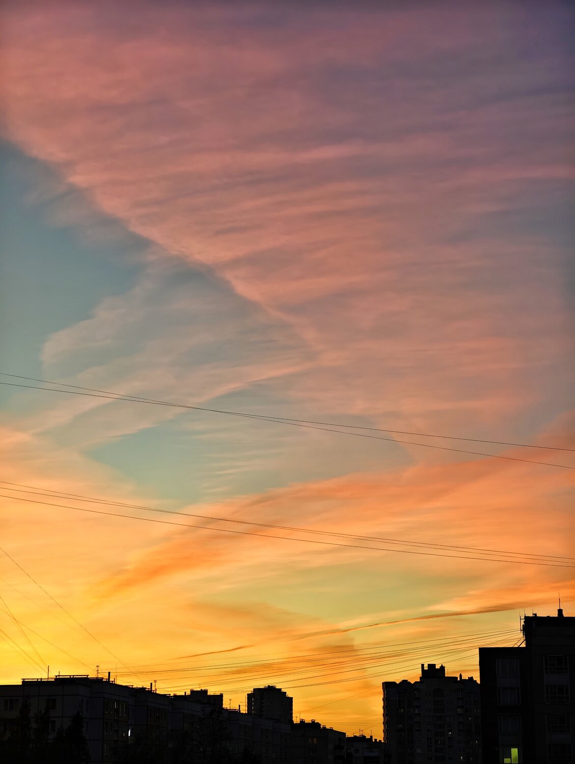 Photo #13786903