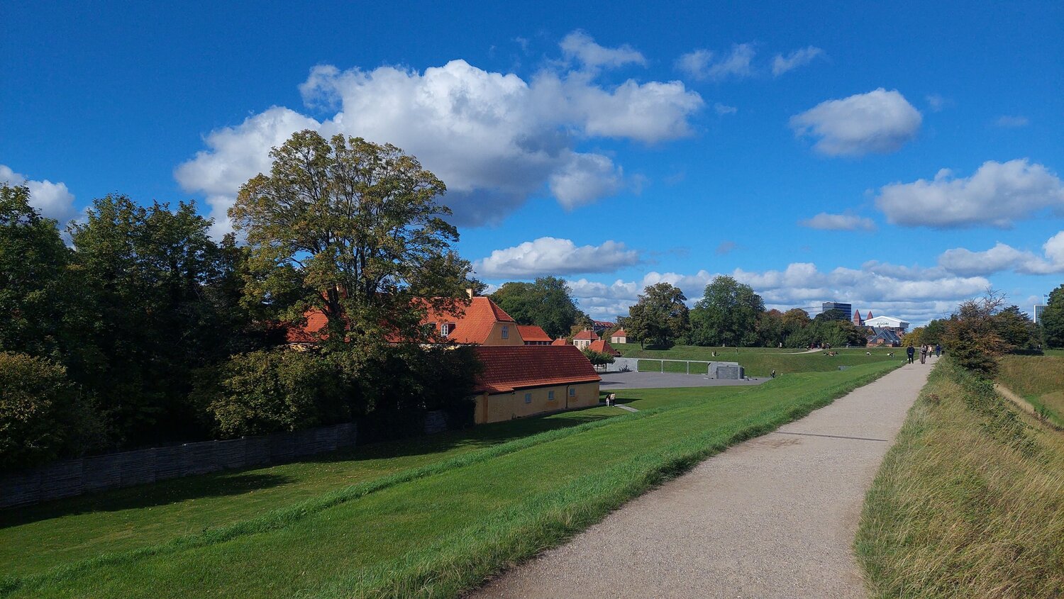Photo #13786920