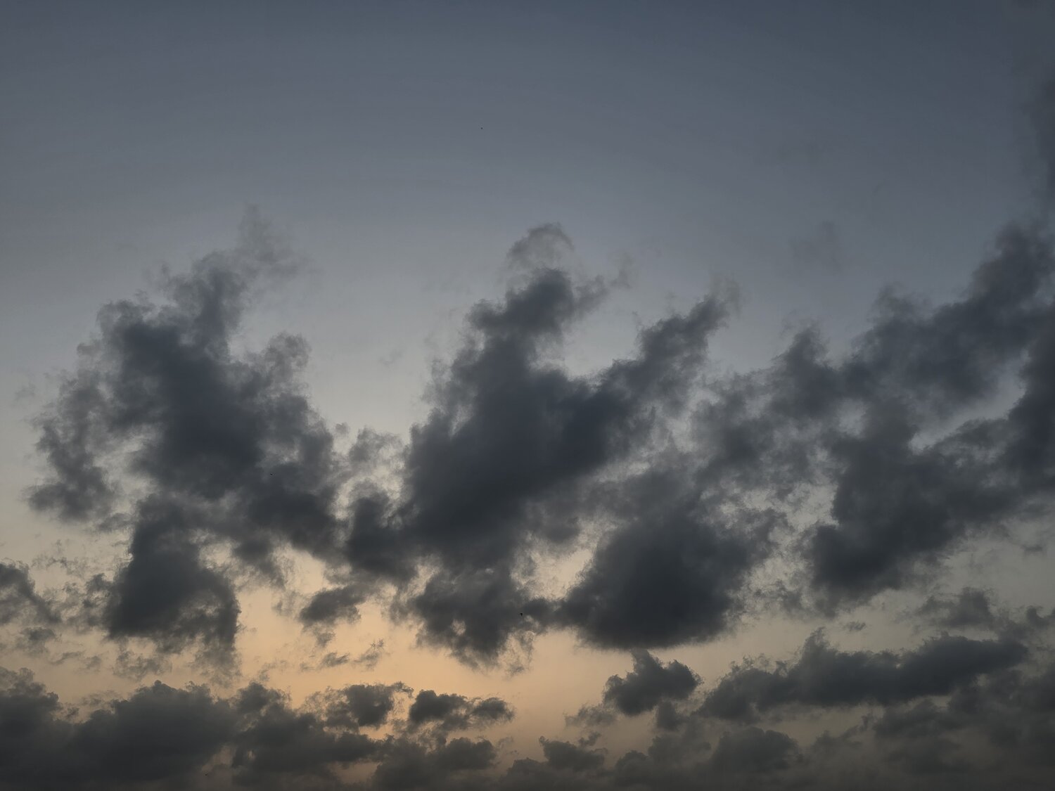 Photo #13787000