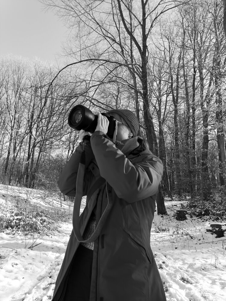 A professional detailed black and white portrait photograph showing an adult woman photographer taking pictures with a dslr camera near bare hornbeam carpinus betulus trees inside a snowy winter forest