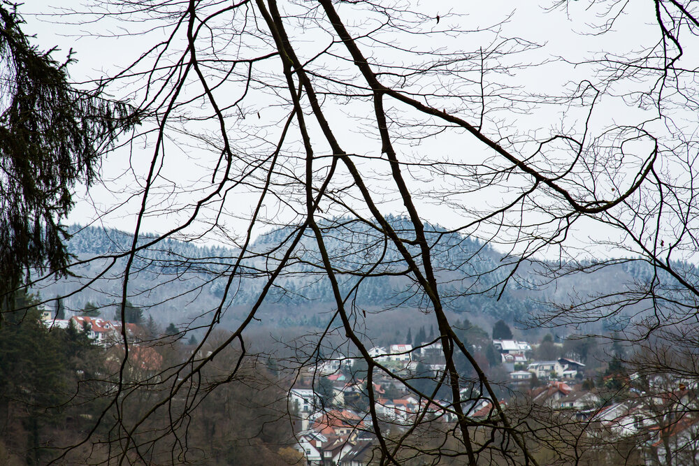 A scenic detailed wide angle landscape photograph showing bare beech fagus sylvatica tree branches over a small village and snowy mountains during a winter day