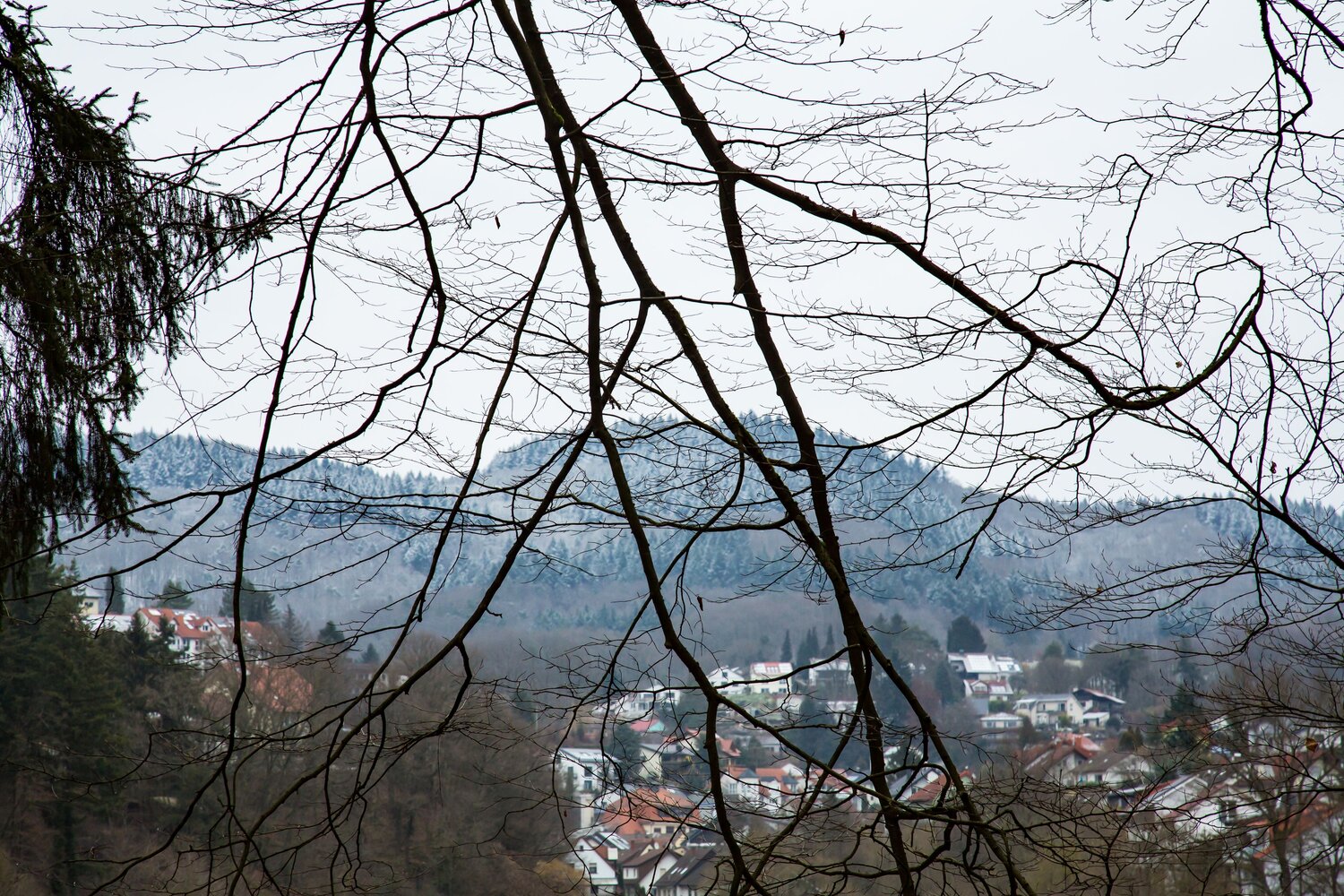 A scenic detailed wide angle landscape photograph showing bare beech fagus sylvatica tree branches over a small village and snowy mountains during a winter day A scenic detailed wide angle landscape photograph showing bare beech fagus sylvatica tree branches over a small village and snowy mountains during a winter day