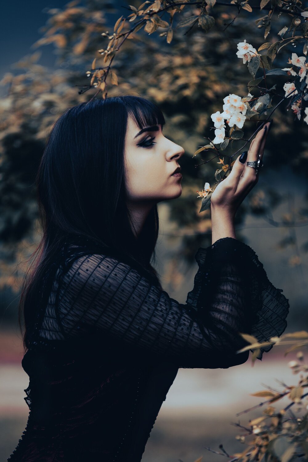 Photo #13787026