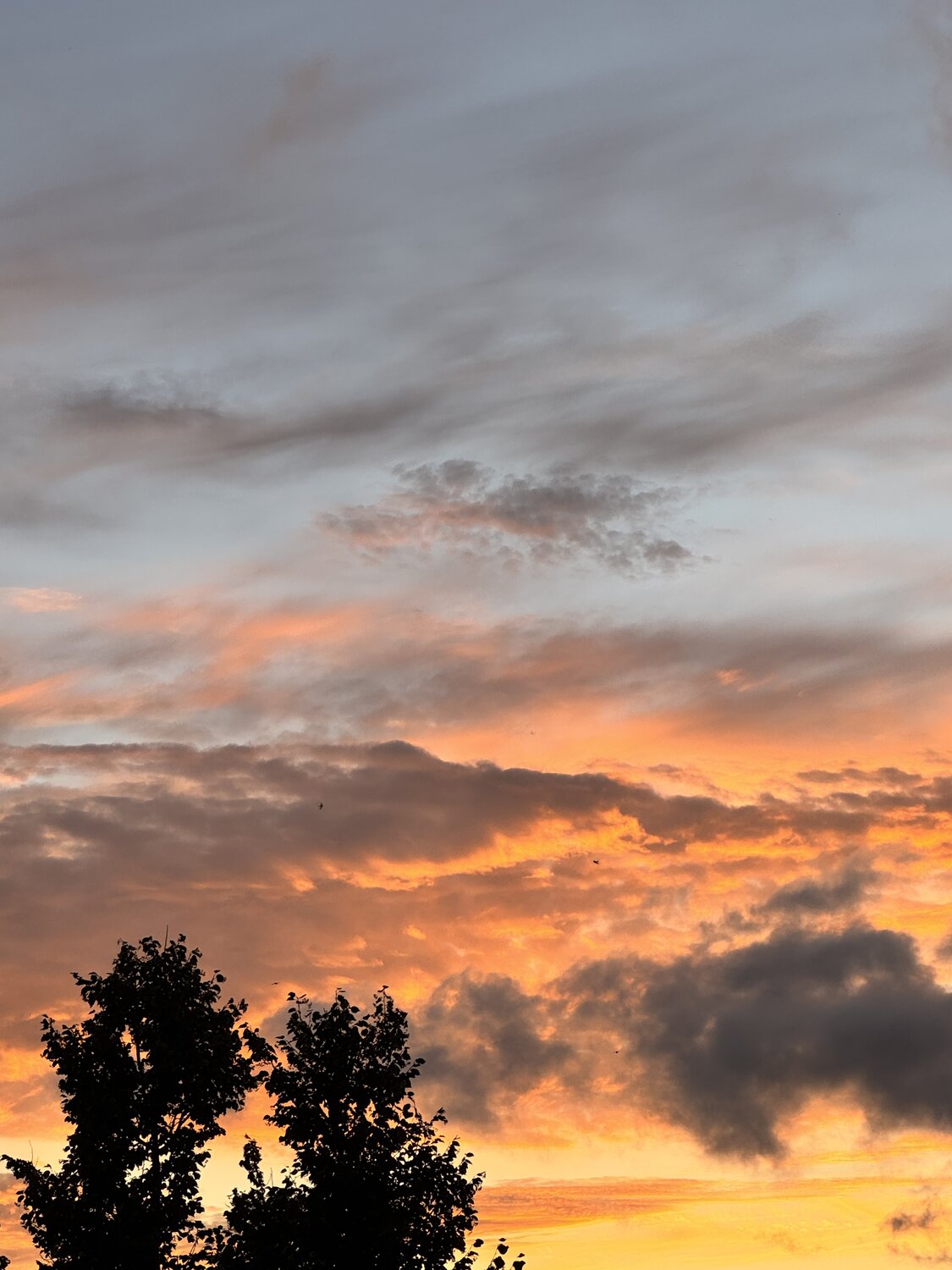Photo #13787049