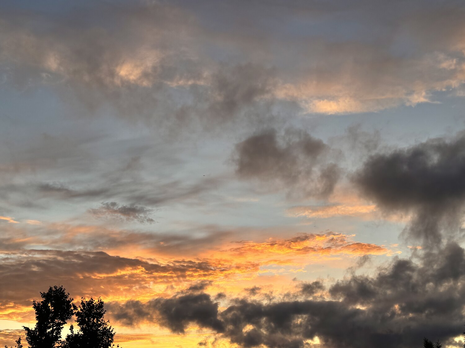 Photo #13787050
