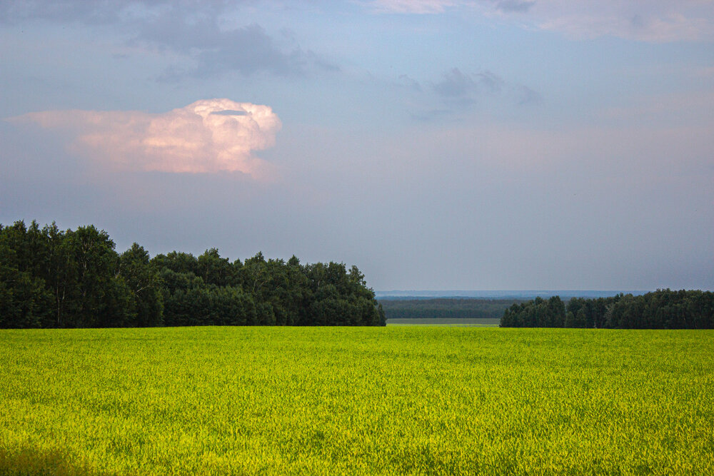 Photograph by Елена Андреева
