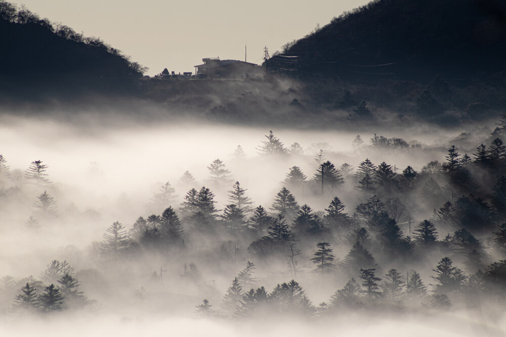 Photograph by Gunma No UMA