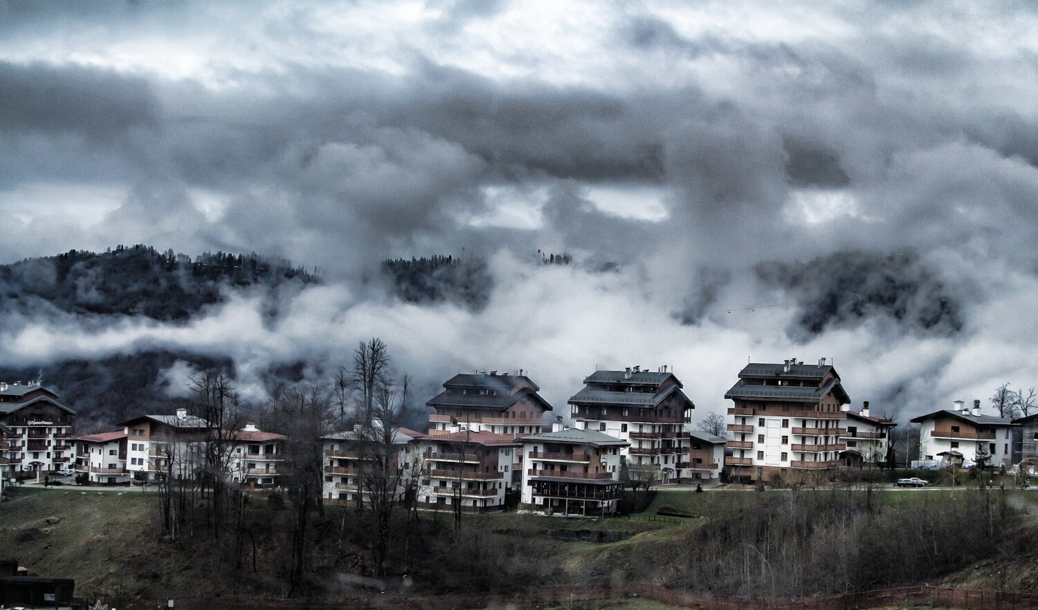 Photo #13787226