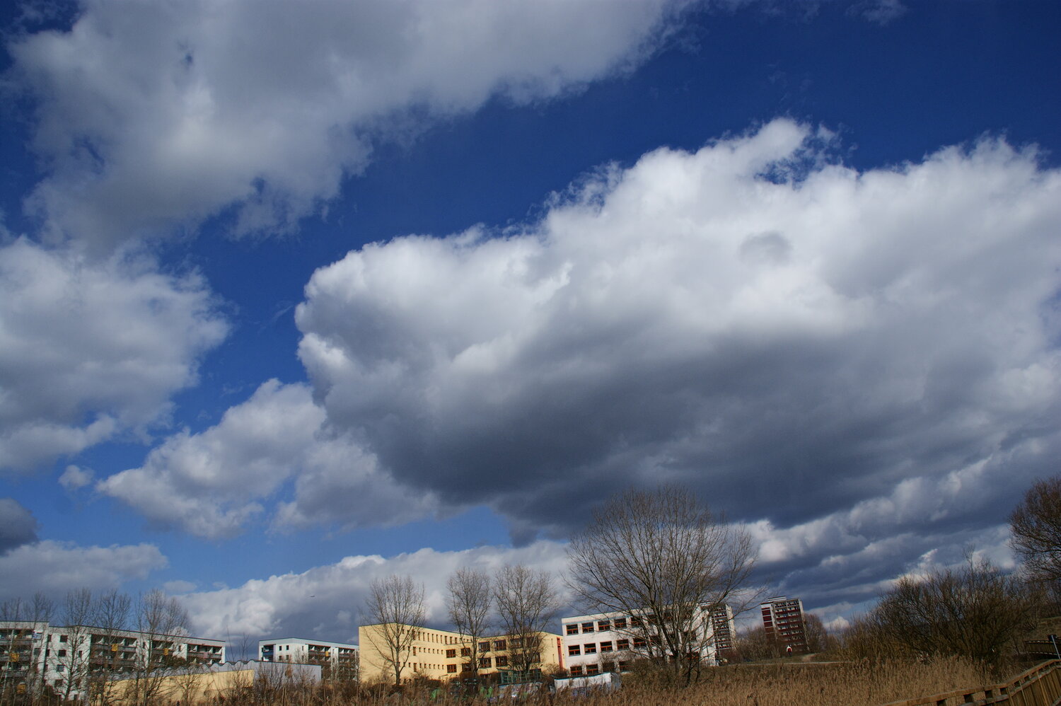 Photo #13787246