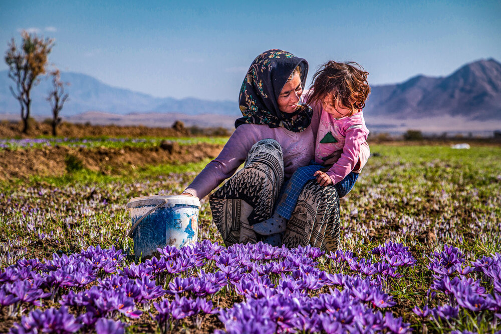 Photograph by amir ali navadeh shahla