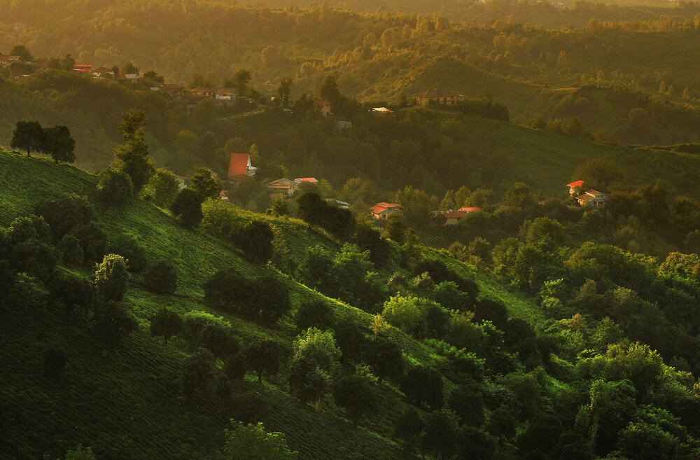 Photograph by hasan sorena jouri